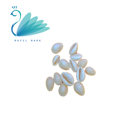 White kawa cowrie shells